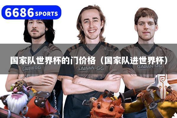国家队世界杯的门价格（国家队进世界杯）