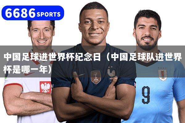 中国足球进世界杯纪念日（中国足球队进世界杯是哪一年）